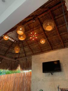 a ceiling with chandeliers and a television and a straw roof at CASA DELFINES RIO LAGARTOS in Río Lagartos