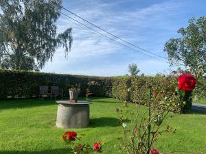 Zahrada ubytování Farmhouse in Houffalize with Garden + 37 fotografií