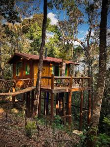 ein Baumhaus mitten im Wald in der Unterkunft Sequoia Casa na Árvore, Vila Mágica in Bueno Brandão