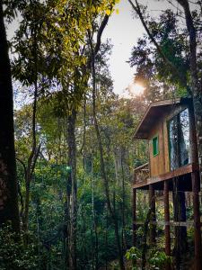 une cabane dans les arbres au milieu de la forêt dans l'établissement Sequoia Casa na Árvore, Vila Mágica, à Bueno Brandão