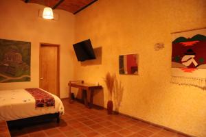 TV a/nebo společenská místnost v ubytování Hotel Boutique Sol y Luna SPA