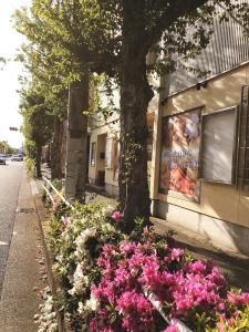 Garður fyrir utan 東京昭島迎賓館A