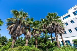 Fotografie z fotogalerie ubytování Hotel The Grang Jungmun v destinaci Sogüpcho