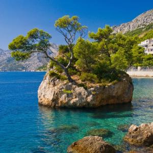 a rock in the water with trees on it at Apartment Panorama - terrace with sea view in Brela