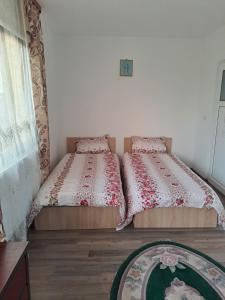 two twin beds in a room with a window at Vila Bulgaru in Cumpăna