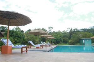 een zwembad met stoelen en parasols en een zwembad bij Sigiriya Peacock Homestay in Sigiriya