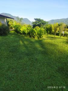 a large yard with green grass and a house at Altos del Reposo Casa Campestre in Pueblo Bello