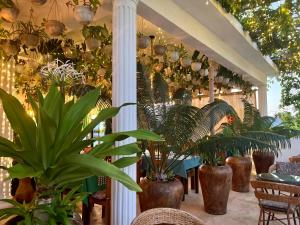 ジャンビアニにあるGadea Boutique Hotel& Gadea Garden Italian Restaurantのたくさんの植物と柱が植えられた部屋