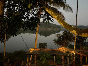 Ambalavayal的住宿－7 Heaven Resorts，水体和树的景观