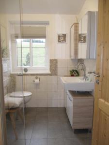 a bathroom with a sink and a toilet and a window at Ferienwohnung Hägelhof in Naila