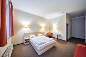 1 dormitorio con 1 cama grande en una habitación en Rija Domus Hotel en Riga