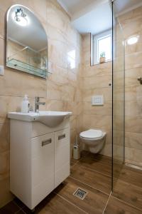 een badkamer met een wastafel en een toilet bij M&A Apartmani in Vrdnik