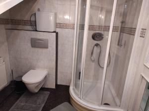 a bathroom with a shower and a toilet at Gemütliches und Zentral in Bruchköbel