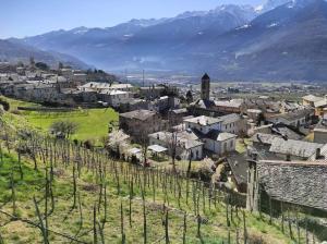 a village with a vineyard and mountains in the background at Affittacamere Al Vicolo in San Bernardo