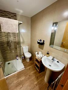 ein Badezimmer mit Waschbecken, Toilette und Dusche in der Unterkunft Lotila Flats L'Infiestu in Infiesto