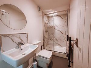 Bamber BridgeにあるYe Olde Original Withy Treesの洗面台、トイレ、シャワー付きのバスルーム