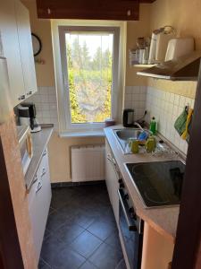 eine kleine Küche mit einem Waschbecken und einem Fenster in der Unterkunft Ferienhaus Günther Harzgerode/Schielo in Schielo