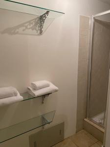 ein Badezimmer mit einem Glasregal mit Handtüchern und einer Dusche in der Unterkunft Borghese Palace Art Hotel in Florenz