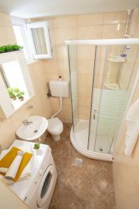 a bathroom with a shower and a toilet and a sink at Central duplex apartment+parking in Novi Sad