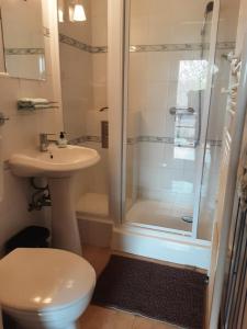 a bathroom with a shower and a toilet and a sink at Herberg Tisza in Tiszabábolna