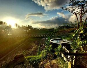 Zahrada ubytování Bali Beach Eco Villas Bali Batu Beach Hut