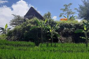 Zahrada ubytování Bali Beach Eco Villas Bali Batu Beach Hut