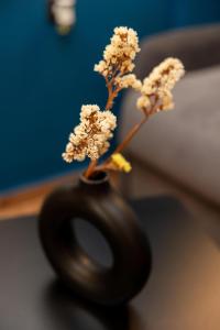 Valaoritou 3 Luxury Rooms的休息区