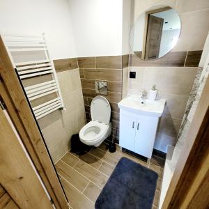Koupelna v ubytování Pokoje Gościnne Baśniowy Dom Radków