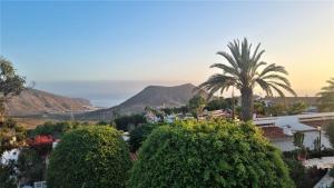 a city with a palm tree and mountains in the background at Villa Azure Horizon and Breeze - Panoramic Ocean View and Heated Pool in Chayofa