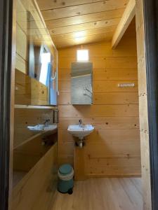a bathroom with two sinks and a mirror at chalet nature sur la vallée de la Truyère in Neuvéglise