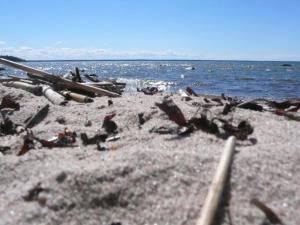 Afbeelding uit fotogalerij van Tiny Cozy House in Pärispea