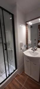 Kúpeľňa v ubytovaní Urlaub am Krausberghof, Apartment mit Balkon und Parkplatz, inmitten der Natur, kostenfreie Kaffeekapseln, 6 Fahrminuten zur Alpentherme Gastein und zur Schlossalmbahn, Spielplatz, großer Gartenbereich