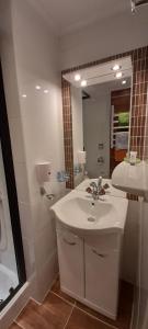 Kúpeľňa v ubytovaní Urlaub am Krausberghof, Apartment mit Balkon und Parkplatz, inmitten der Natur, kostenfreie Kaffeekapseln, 6 Fahrminuten zur Alpentherme Gastein und zur Schlossalmbahn, Spielplatz, großer Gartenbereich