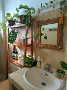 a bathroom sink with a mirror and some plants at Sea Me in Kansaloay