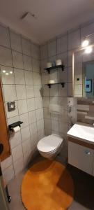 Kúpeľňa v ubytovaní Urlaub am Krausberghof, Apartment mit Balkon und Parkplatz, inmitten der Natur, kostenfreie Kaffeekapseln, 6 Fahrminuten zur Alpentherme Gastein und zur Schlossalmbahn, Spielplatz, großer Gartenbereich