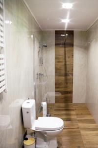 a bathroom with a white toilet and a shower at Apartament Zacisze in Wieliczka