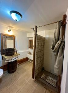 Koupelna v ubytování Saschiz 175 GuestHouse