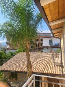 una palmera en el balcón de una casa en Vista Allaro, en Caulonia