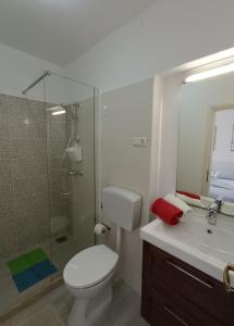 La salle de bains est pourvue de toilettes, d'une douche et d'un lavabo. dans l'établissement Adriana Holiday Apartment, à Labin