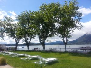 Lake Place Resort في Glenhaven: صف كراسي الصالة والاشجار بجانب البحيرة