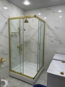a shower with a glass door in a bathroom at Apartment in Agmashenebeli in Tbilisi City