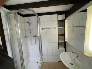 a bathroom with a shower and a sink at Ferienwohnung Zirbelweg in Siegsdorf