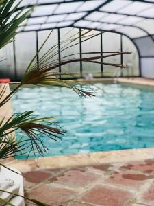 ein Pool mit blauem Wasser in einem Gebäude in der Unterkunft Domaine aux Lions - Piscine Tennis 20 min Deauville in Fauguernon