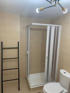 a bathroom with a shower and a toilet at Apartamento Center Playa Almerimar in Almerimar