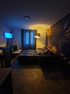 - un salon avec un lit et une télévision dans l'établissement Appartement spacieux MULHOUSE, à Mulhouse