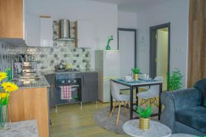 Η κουζίνα ή μικρή κουζίνα στο Ambra Lovely studio apartment with scenic view +10 φωτογραφίες