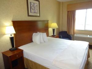 Postel nebo postele na pokoji v ubytování Sheridan Hotel