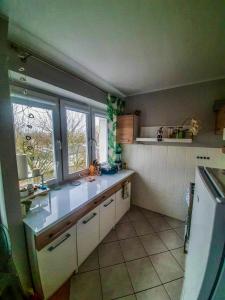 una cocina con encimera y ventana. en Apartament by Wyszyńskiego Street en Konin