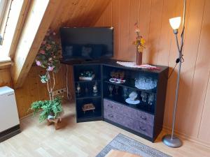 a room with a television and a shelf with vases at Apartment Old Hüsung - MUZ320 by Interhome in Mirow