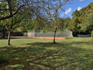 two trees in a field with a tennis court at Holiday Home Langevine by Interhome in Thorigné-dʼAnjou